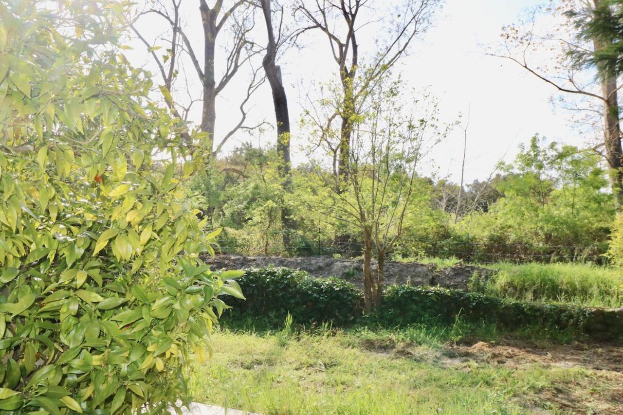 Gites Terra Di A Bravona Linguizzetta ภายนอก รูปภาพ