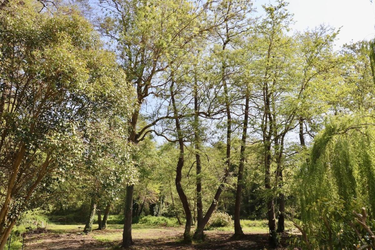 Gites Terra Di A Bravona Linguizzetta ภายนอก รูปภาพ