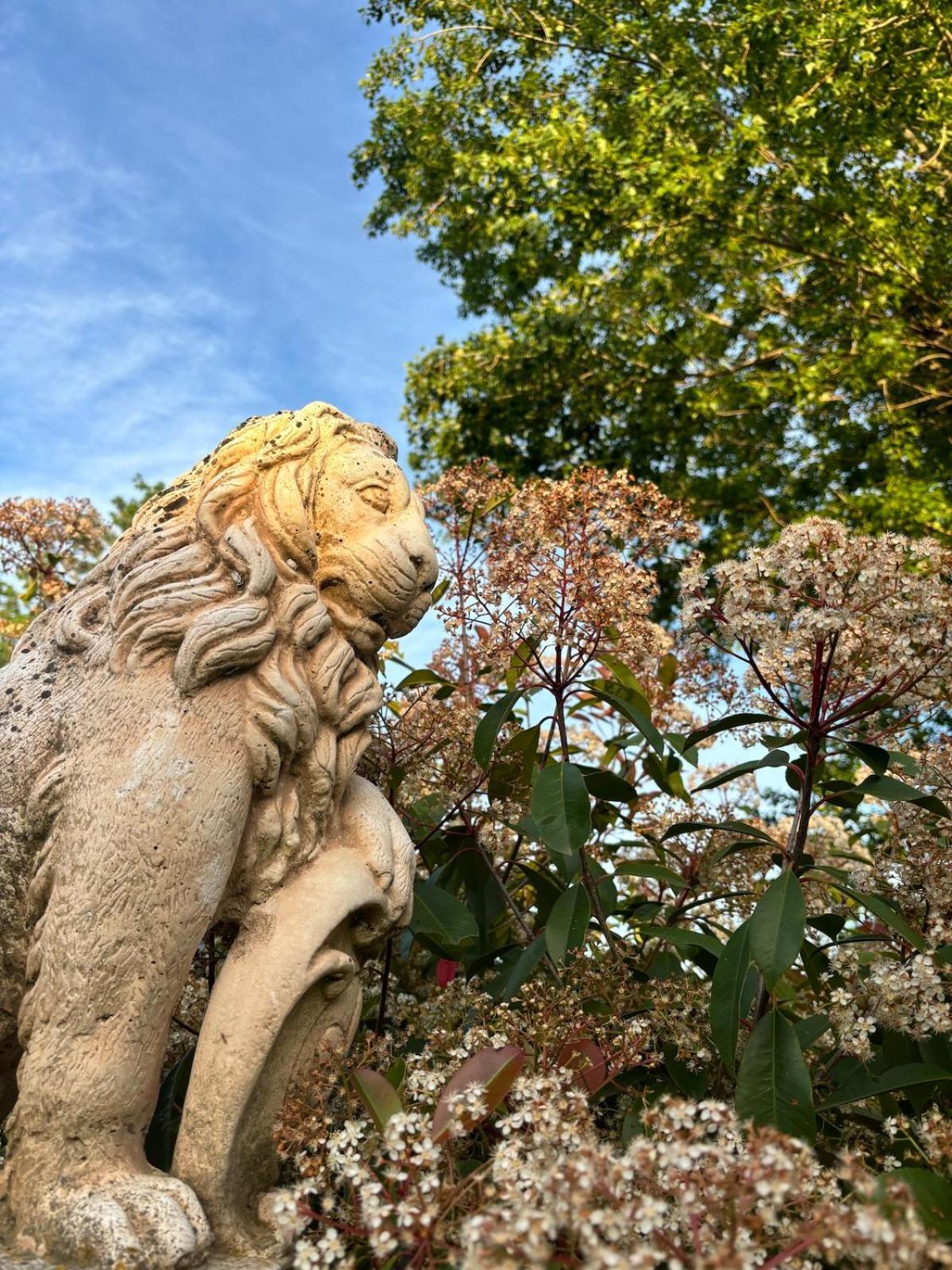 Gites Terra Di A Bravona Linguizzetta ภายนอก รูปภาพ
